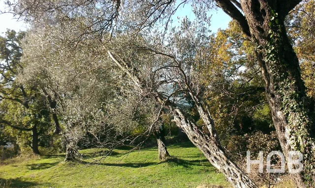Satılık, Plot, 1258 m², Tivat