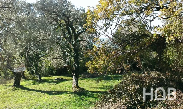 Satılık, Plot, 1258 m², Tivat