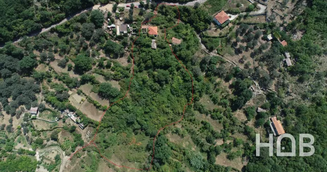 للبيع, Plot, 30000 m², Bar