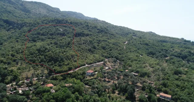 Na prodaju, Plot, 30000 m², Bar