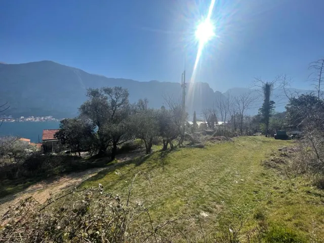 Zu verkaufen, Plot, 2171 m², Kotor