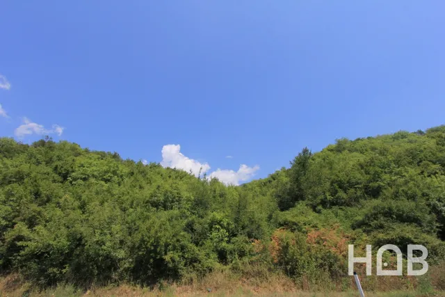 For Sale, Plot, 19166 m², Kotor