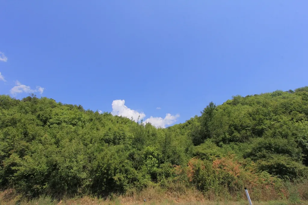 For Sale, Plot, 19166 m², Kotor