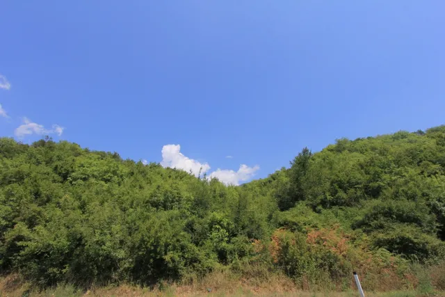 For Sale, Plot, 19166 m², Kotor