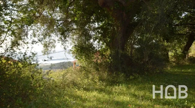Satılık, Plot, 17304 m², Kotor