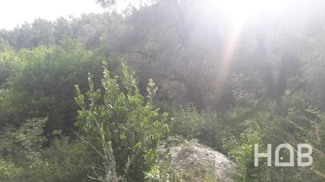 Na prodaju, Plot, 2900 m², Budva