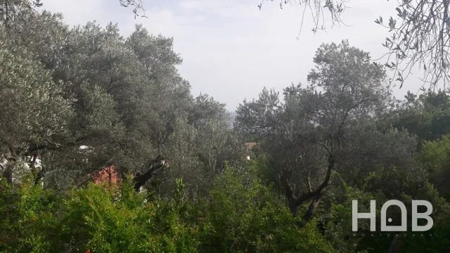 Na prodaju, Plot, 2900 m², Budva