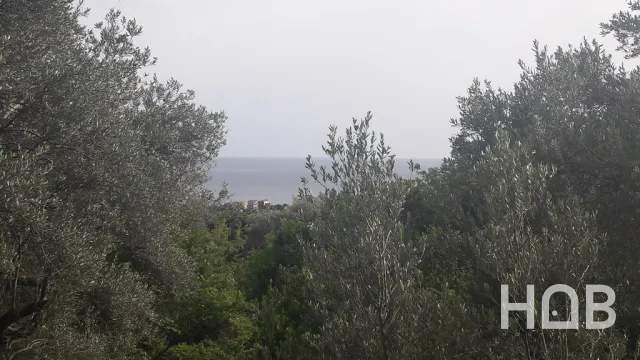 Na prodaju, Plot, 2900 m², Budva