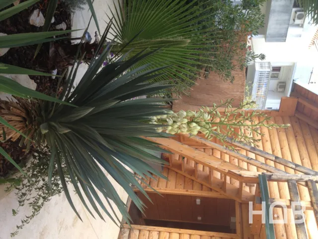 En venta, Hotel, 650 m², Budva