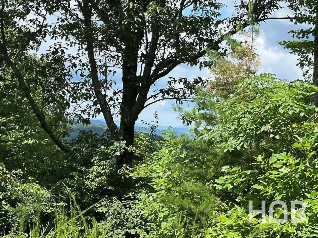 Na prodaju, Plot, 24808 m², Kolašin