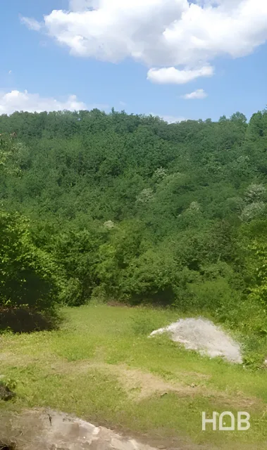Na prodaju, Plot, 24808 m², Kolašin