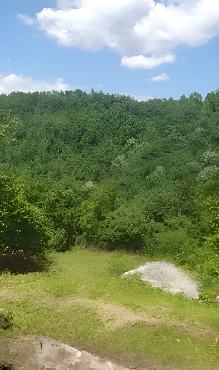 Na prodaju, Plot, 24808 m², Kolašin