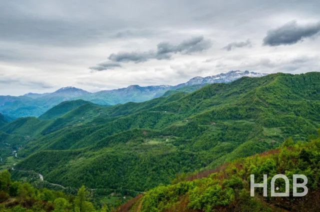 Na prodaju, Plot, 110000 m², Kolašin