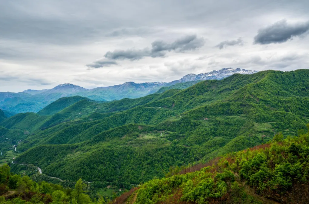 Na prodaju, Plot, 110000 m², Kolašin