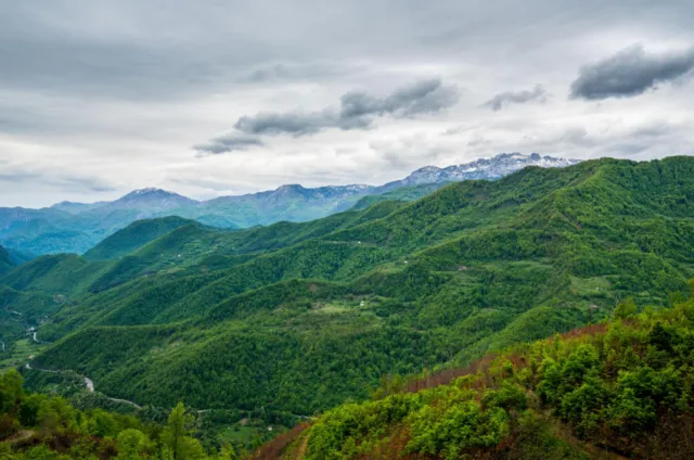 Na prodaju, Plot, 110000 m², Kolašin