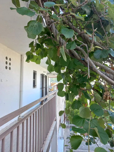 للبيع, شقة, 39 m², Kotor
