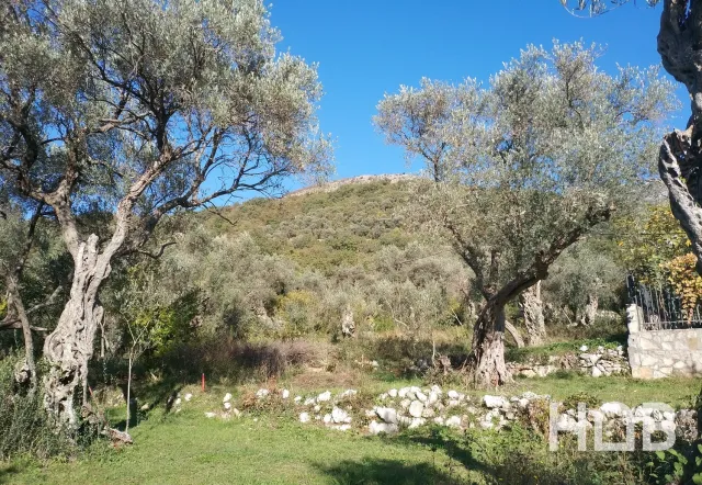 Na prodaju, Plot, 322 m², Budva