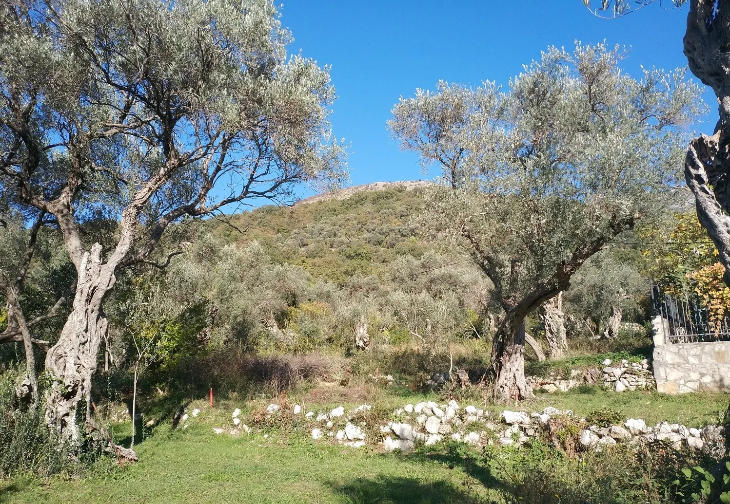 Na prodaju, Plot, 322 m², Budva