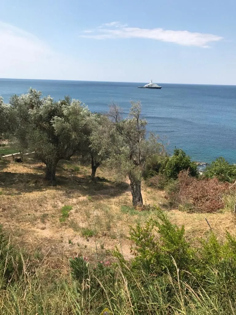 Na prodej, Plot, 2415 m², Bar