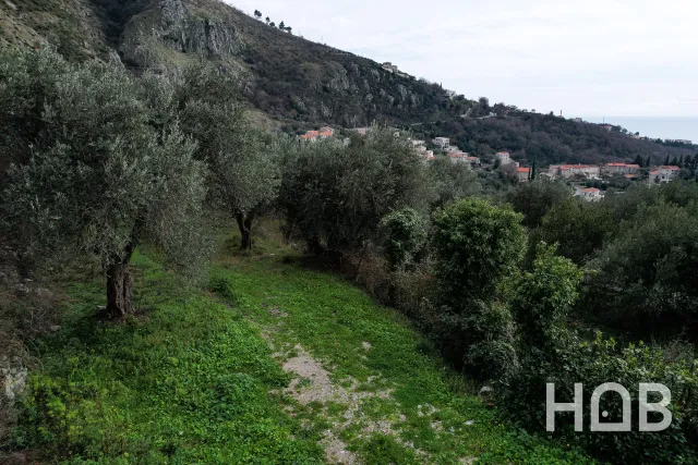 Na prodej, Plot, 1648 m², Budva