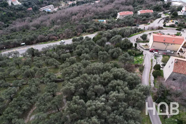 Na prodej, Plot, 1648 m², Budva