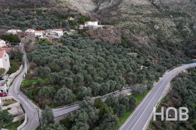 Na prodej, Plot, 1648 m², Budva